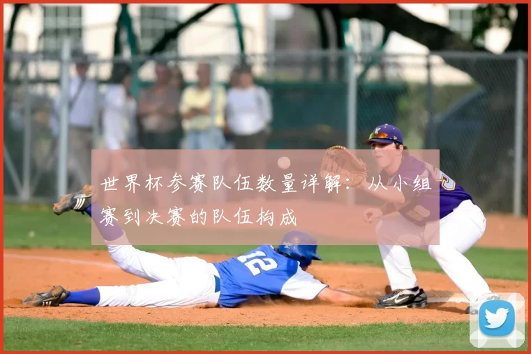 世界杯参赛队伍数量详解：从小组赛到决赛的队伍构成