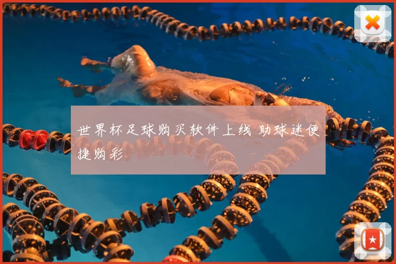 世界杯足球购买软件上线 助球迷便捷购彩