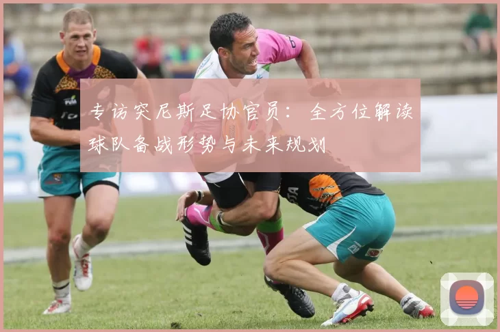 专访突尼斯足协官员：全方位解读球队备战形势与未来规划