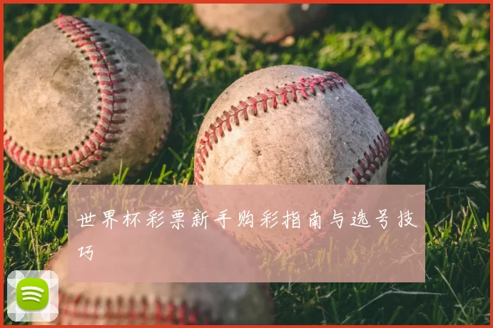 世界杯彩票新手购彩指南与选号技巧
