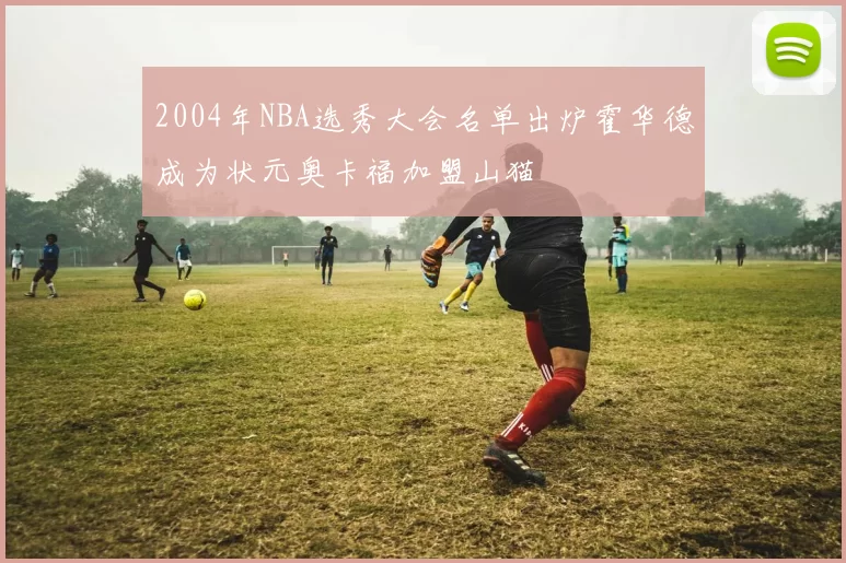 2004年NBA选秀大会名单出炉霍华德成为状元奥卡福加盟山猫
