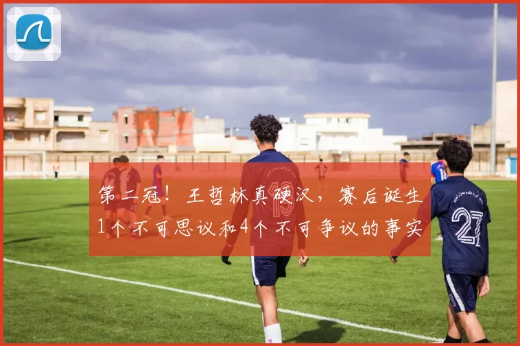 第二冠！王哲林真硬汉，赛后诞生1个不可思议和4个不可争议的事实