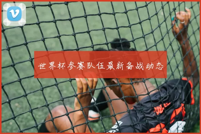 世界杯参赛队伍最新备战动态