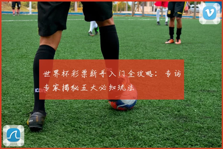 世界杯彩票新手入门全攻略：专访专家揭秘五大必知玩法