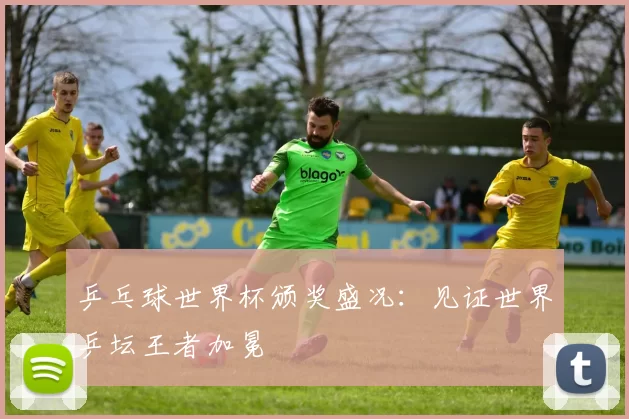乒乓球世界杯颁奖盛况：见证世界乒坛王者加冕