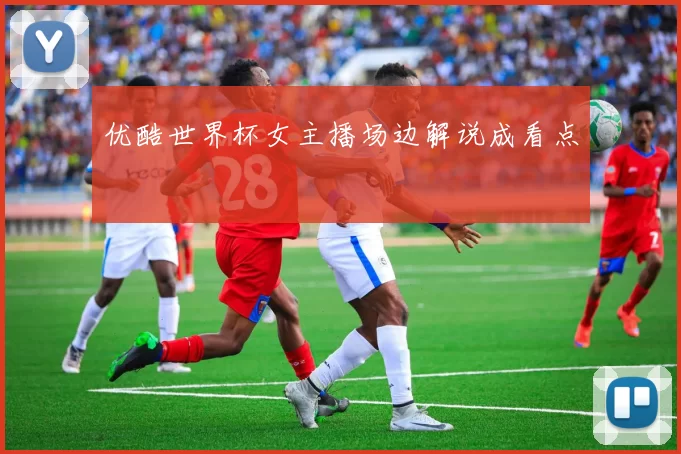 优酷世界杯女主播场边解说成看点