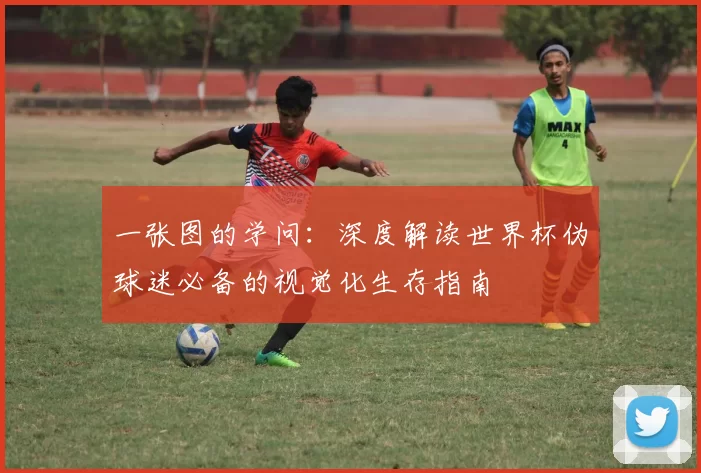 一张图的学问：深度解读世界杯伪球迷必备的视觉化生存指南