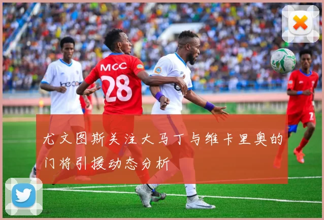 尤文图斯关注大马丁与维卡里奥的门将引援动态分析