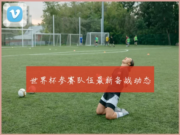世界杯参赛队伍最新备战动态